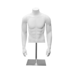 White male fiberglass half torso form without arms for displaying shirts and menswear