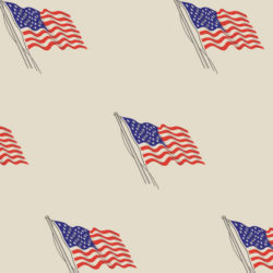USA flag tissue