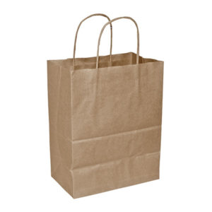 Cub size white kraft paper shopping bag with twisted handles