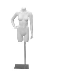 Mannequin Torsos