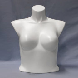 Women Blouse/Bra Form — women's blouse bra form display retail