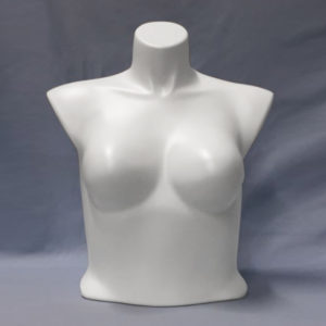 Women Blouse/Bra Form — women's blouse bra form display retail