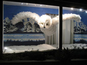 A Winter Owl:
