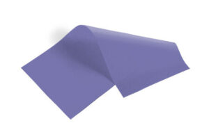 periwinkle tissue