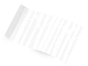 white birch tissue