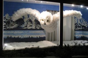 A Winter Owl: